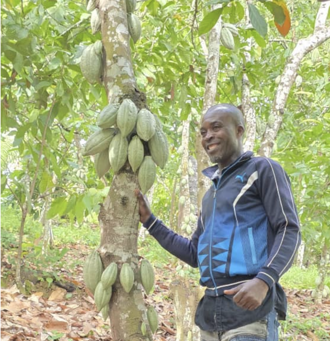 Ema, cacaoculteur TOKCHAM au Cameroun et expert en cacao