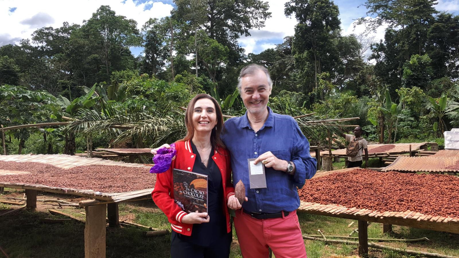 Jeunes plants de cacaoyers TOKCHAM - Avenir de la plantation camerounaise